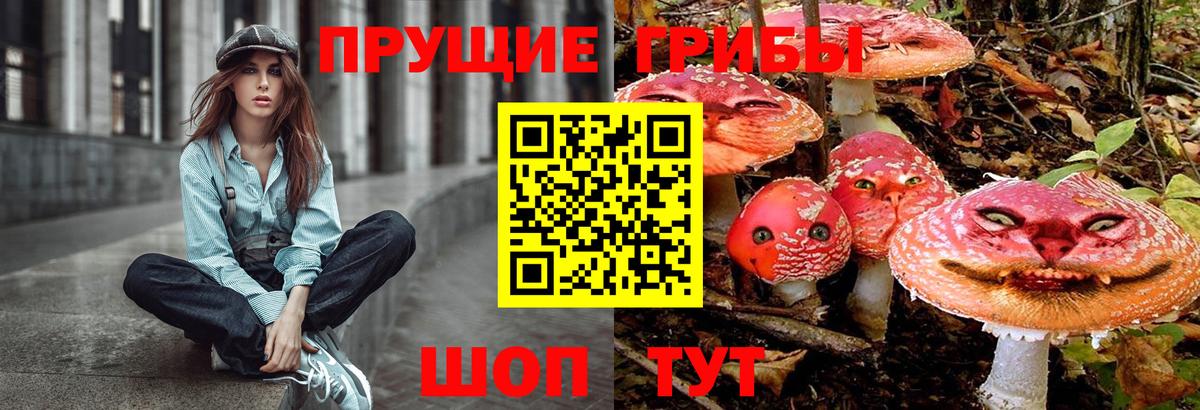 Псилоцибиновые грибы прущие грибы  Вход с VPN  Полысаево 